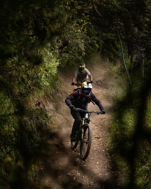 Downhill cyclist leading through tight trees on a Lamay singletrack line, Sacred Valley near Cusco, Peru, with shade, dust, and narrow trail.