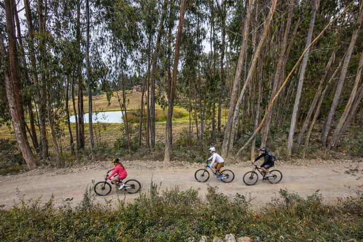 Fotografía aérea de tres ciclistas de montaña descendiendo por camino ancho de tierra curvo entre bosque de eucaliptos, con laguna Huayllarcocha y campos verdes amarillentos al fondo, ciclistas vistiendo rojo, blanco y negro, sendero amplio para MTB en Cusco