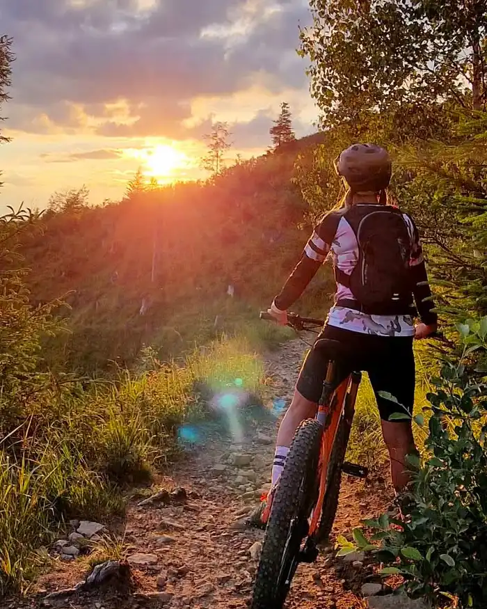 La bicicleta está orientada cuesta abajo, sobre un camino rocoso rodeado de vegetación verde y arbustos.