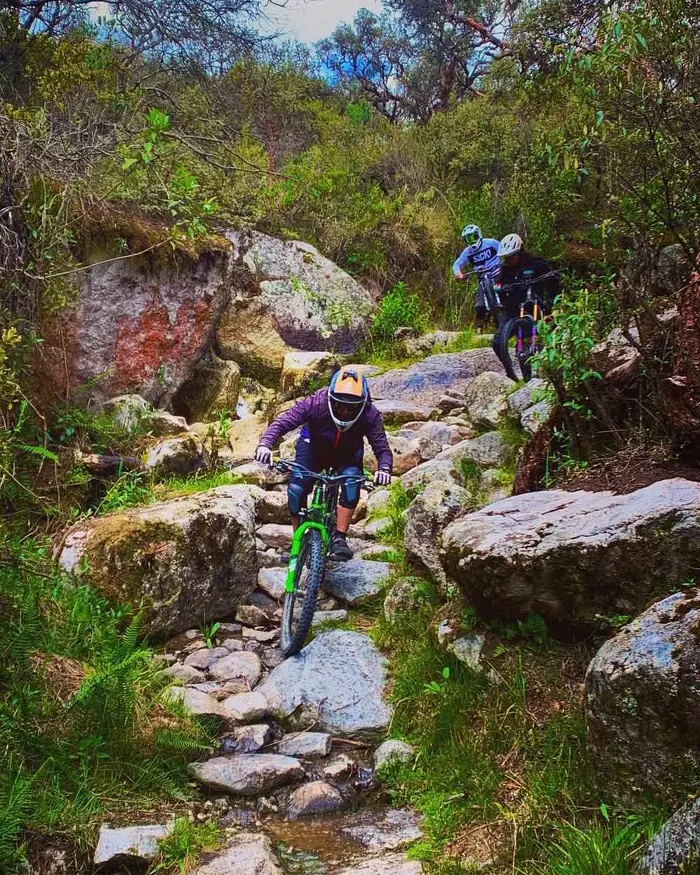 Mountain biker choosing a precise line through wet rocks and dense vegetation on a narrow Andean trail in Peru.