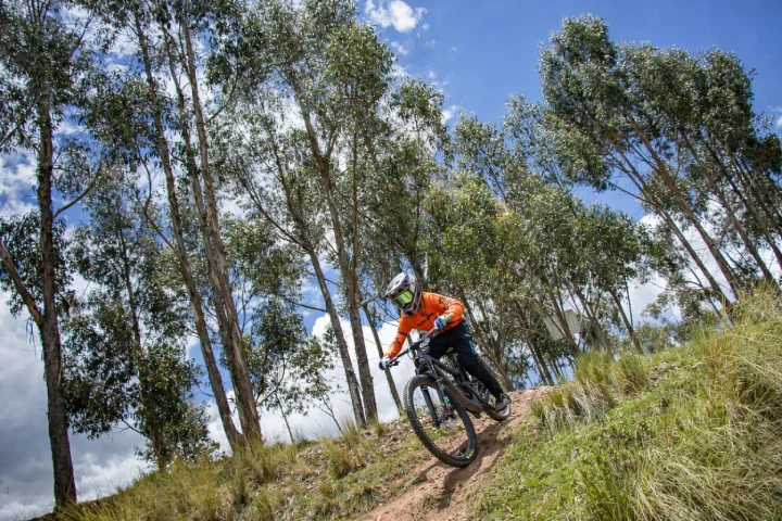 Fotografía de ciclista de montaña en descenso por sendero de tierra en Yuncaypata, vistiendo chaqueta naranja y casco, atravesando bosque de eucaliptos altos con follaje verde, bajo cielo azul con nubes blancas, terreno con pasto verde y sendero técnico