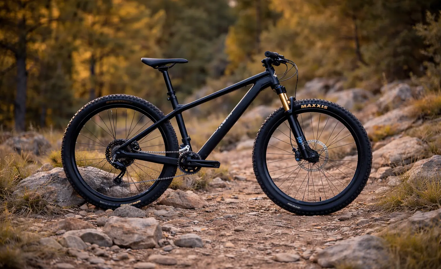 Black hardtail mountain bike standing on a rocky dirt trail with a blurred forest background and warm lighting.