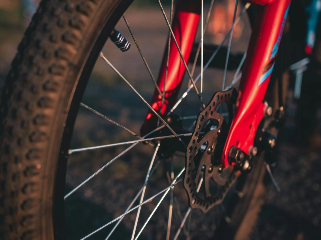 Close-up of a mountain bike front wheel showing the disc brake rotor, spokes, and red suspension fork in warm light.