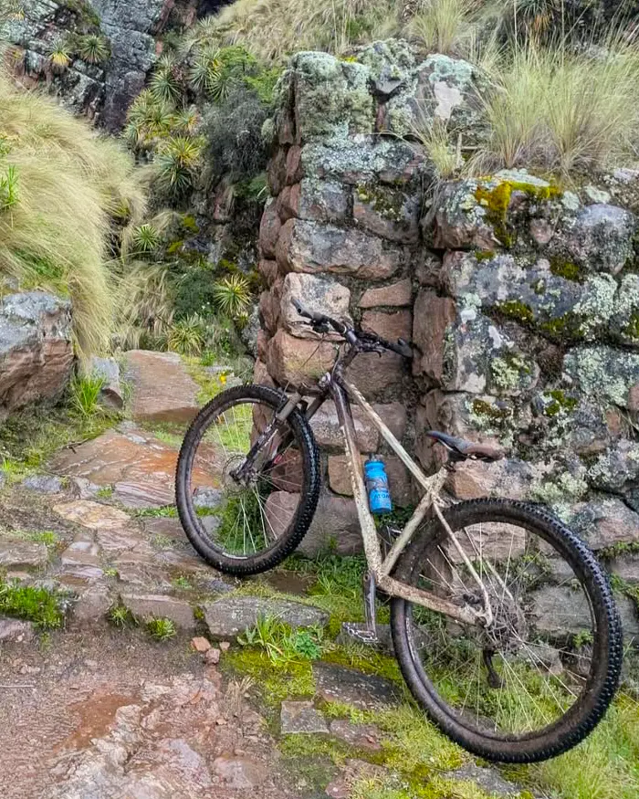 The entrance trail is made up of uneven stones and wet dirt, which gives the scene a rustic, natural, and very authentic feel.