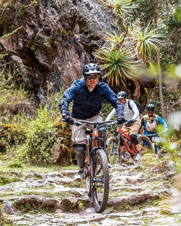 The environment is surrounded by dense vegetation, with trees, shrubs, and plants typical of mountainous areas.