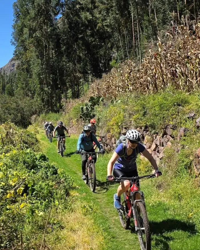 Los riders mantienen un ritmo constante mientras recorren un camino estrecho y natural.