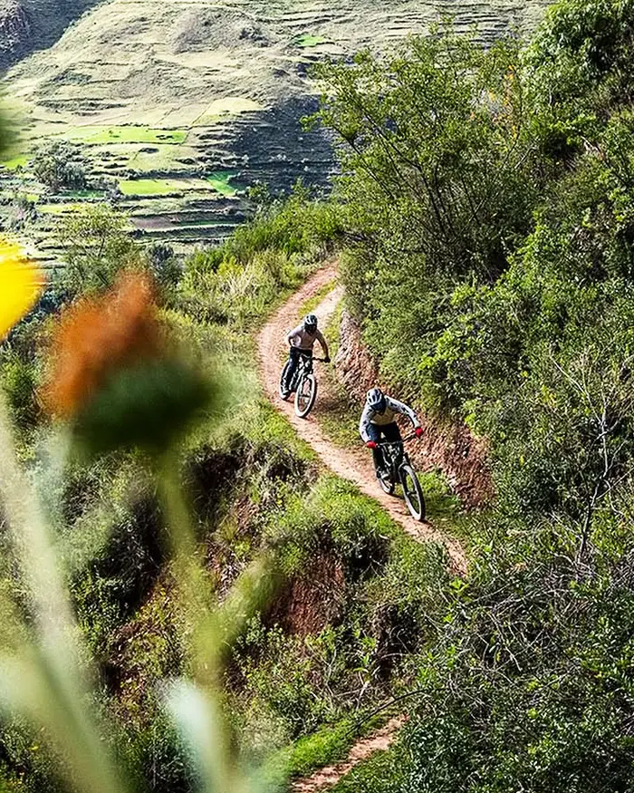 Dos ciclistas descienden por un sendero estrecho que serpentea entre laderas verdes en el paisaje andino.
