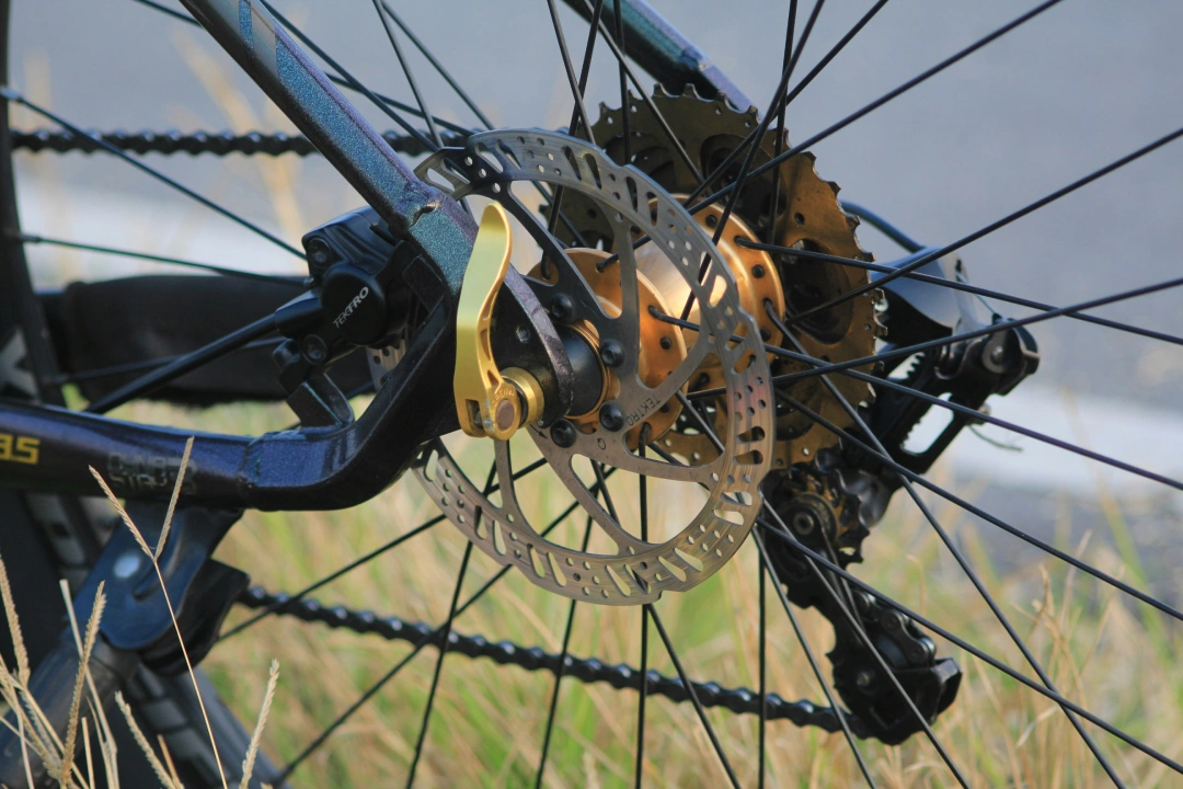 Close up of a bike rear disc brake showing the metal rotor, caliper, and wheel spokes, with the drivetrain blurred in the background outdoors.